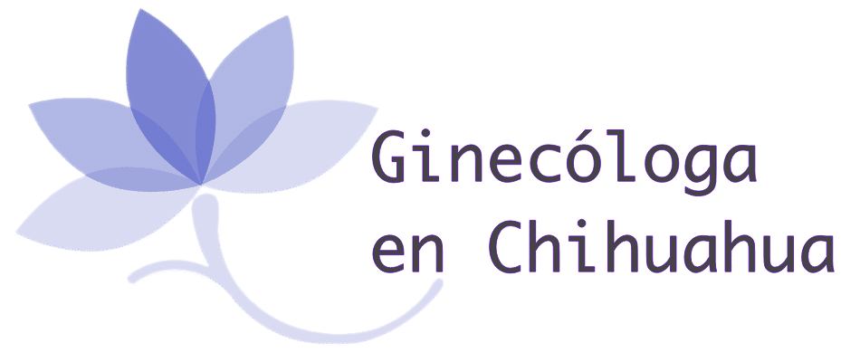 Ginecóloga en Chihuahua Logo